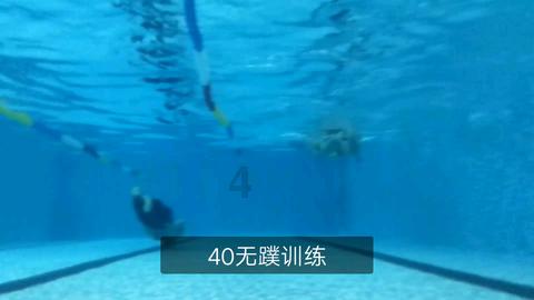 “新农人”兴农致富有高招